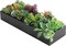 Artificial Succulent Centerpiece,15.75 Inch Faux Succulents Arrangement Plants in Sleek Black Wooden Rectangular Planter Box